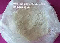 Testosteron Anabolic Steroid Dianabol Powder Untuk Berat Badan
