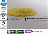 Fat Loss Steroid Anabolik Androgenik, Bodybuilding Cutting Cycle Trenbolone Acetate