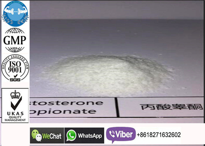 521-12-0 Testosteron Propionate Powder, White Raw Test Prop Steroid Bulking Hukum