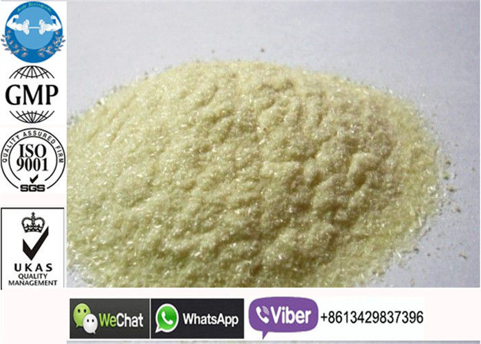 GMP Raw Anabolic Trenbolone Acetate Steroid Powder, 434-03-7 Peptida Untuk Pertumbuhan Otot
