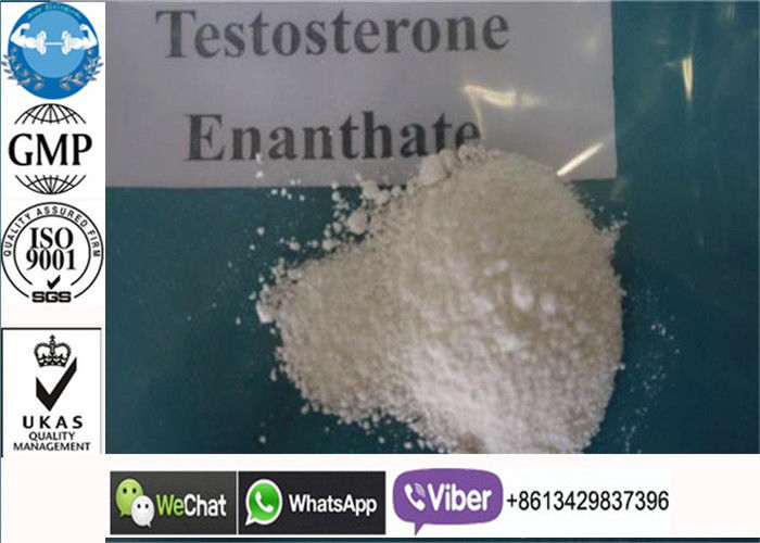 Uji Kuat E / Testosteron Enforate Serbuk Steroid Untuk Suplemen Tubuh