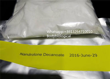 Steroid Anabolik Deca Sehat Serbuk Nandrolone Decanoate Injeksi