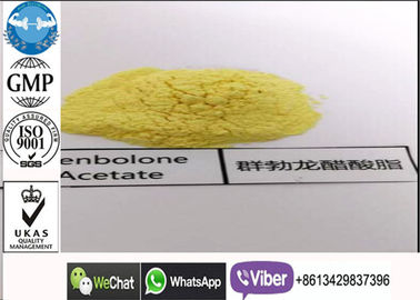 Natural Trenbolone Acetate Powder, Pertumbuhan Otot Cepat Trenbolone Finaplix Steroid