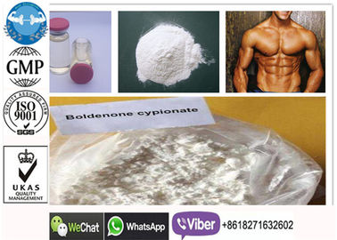 CAS 106505-90-2 Boldenone Cypionate, Suplemen Otot Injeksi Suplemen Steroid